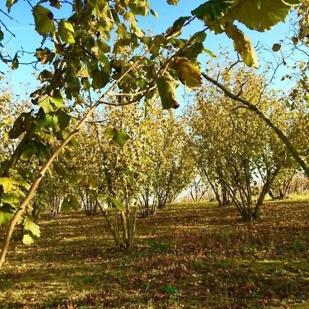 Βίλα Panoramic On The Hills Of The Langhe Among The Vineyards Large Swimming Pool Farigliano