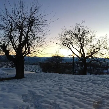 Panoramic On The Hills Of The Langhe Among The Vineyards Large Swimming Pool Villa Farigliano