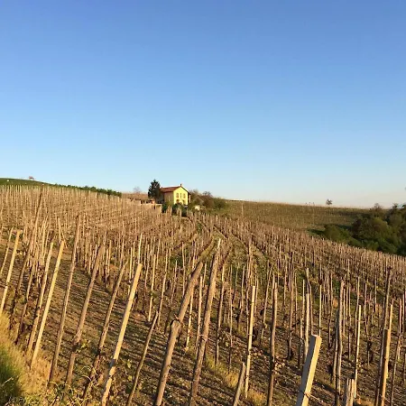 Βίλα Panoramic On The Hills Of The Langhe Among The Vineyards Large Swimming Pool Farigliano