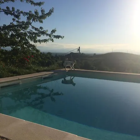 Panoramic On The Hills Of The Langhe Among The Vineyards Large Swimming Pool * Farigliano