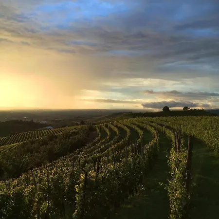 Βίλα Panoramic On The Hills Of The Langhe Among The Vineyards Large Swimming Pool *